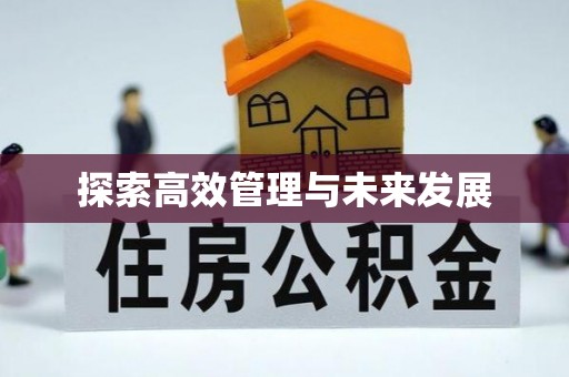 长岭探索高效管理与未来发展