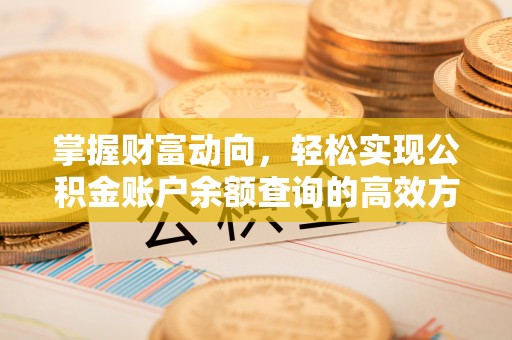 长岭掌握财富动向，轻松实现公积金账户余额查询的高效方式