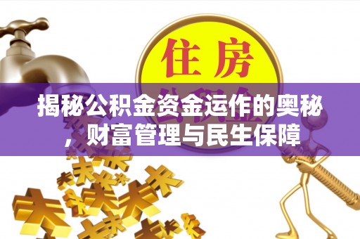 长岭揭秘公积金资金运作的奥秘，财富管理与民生保障