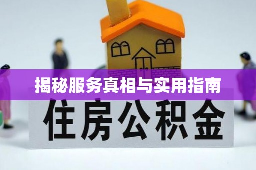 长岭揭秘服务真相与实用指南