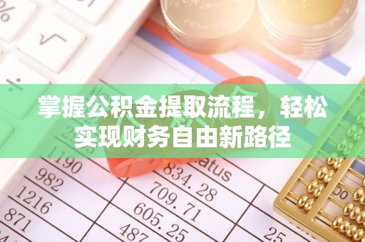 长岭掌握公积金提取流程，轻松实现财务自由新路径